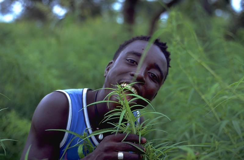 Lamin the farmer at Jinak Island The Gambia West Africa